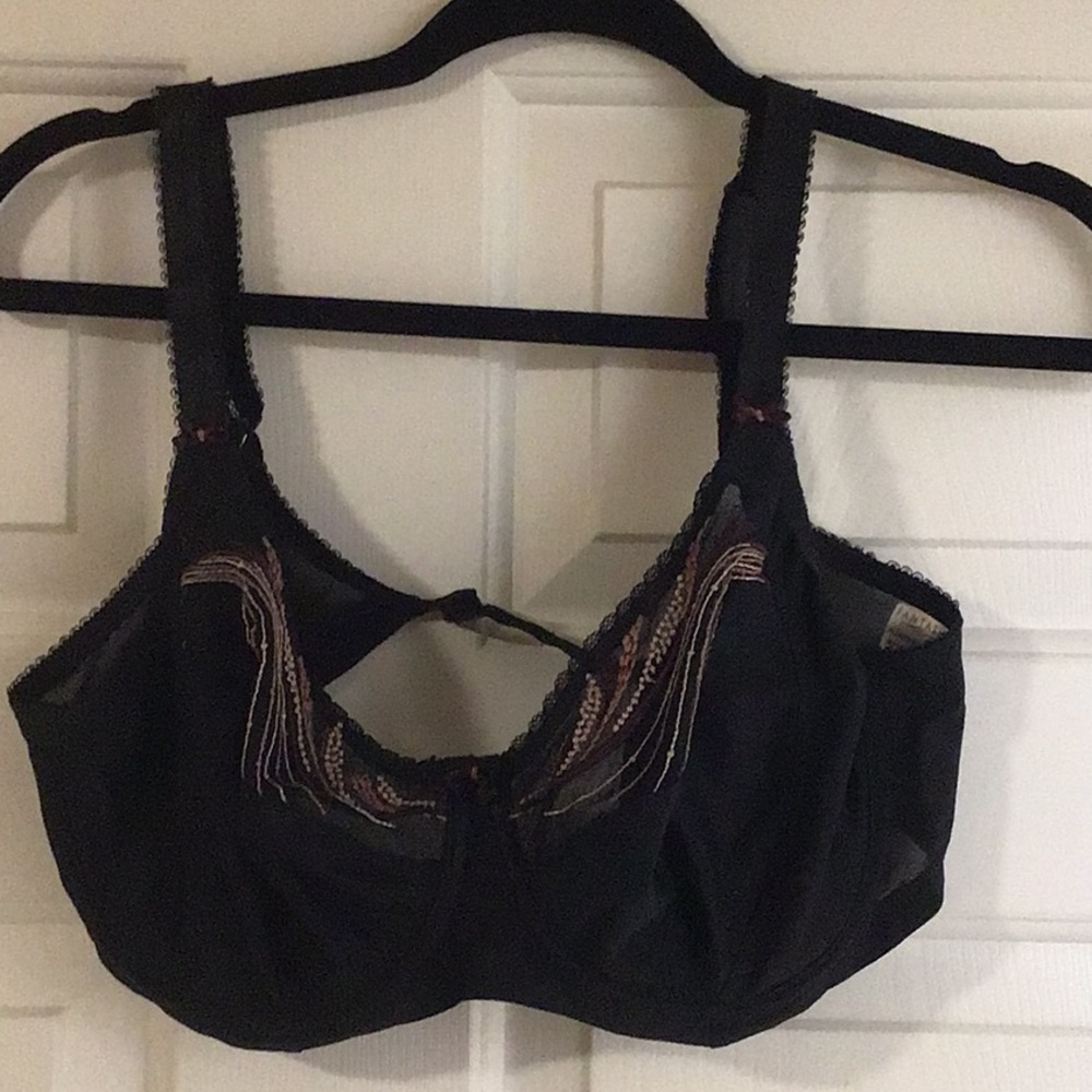 Fantaisie 34E - black bra with gorgeous pink embroidery